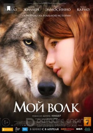 Смотреть Мой волк (фильм, 2021) в хорошем качестве HD 1080